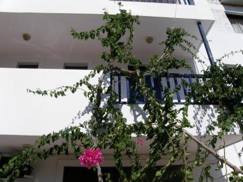 Aparthotel Bay Watch Karpathos Exterior foto